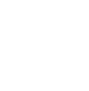 Z-One Agency